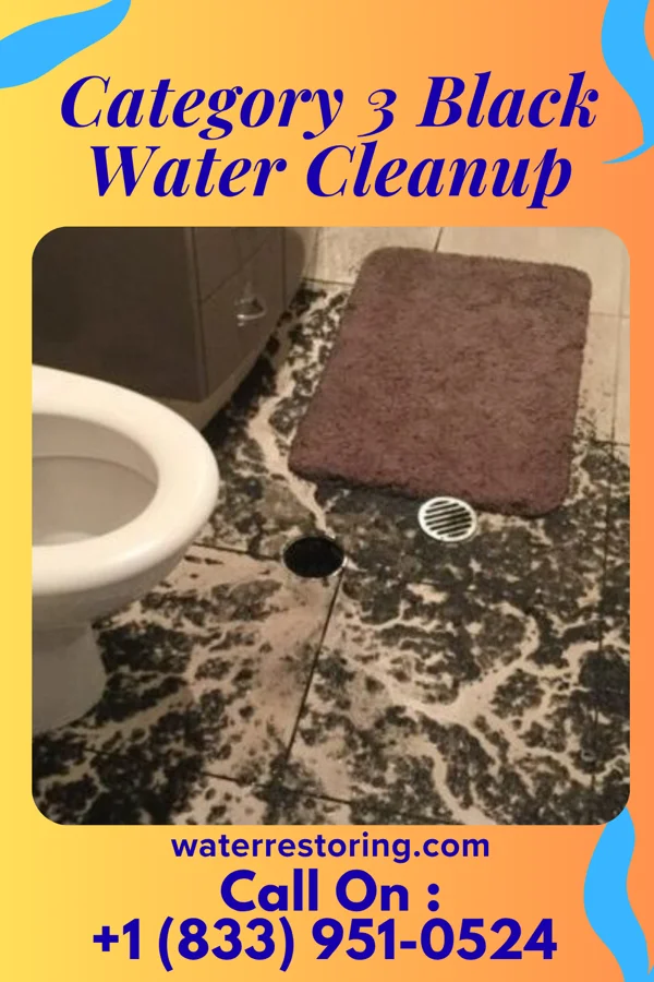 Category 3 Black Water Cleanup in High Bridge, NJ