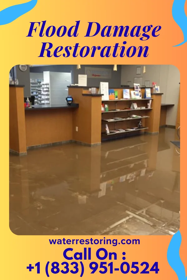 Flood Damage Restoration in High Bridge, NJ
