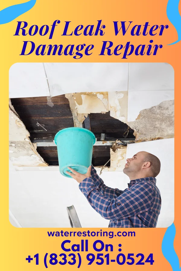 Roof Leak Water Damage Repair in High Bridge, NJ
