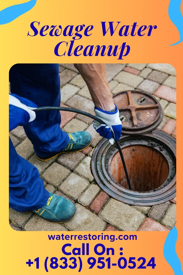 Sewage Water Cleanup in High Bridge, NJ