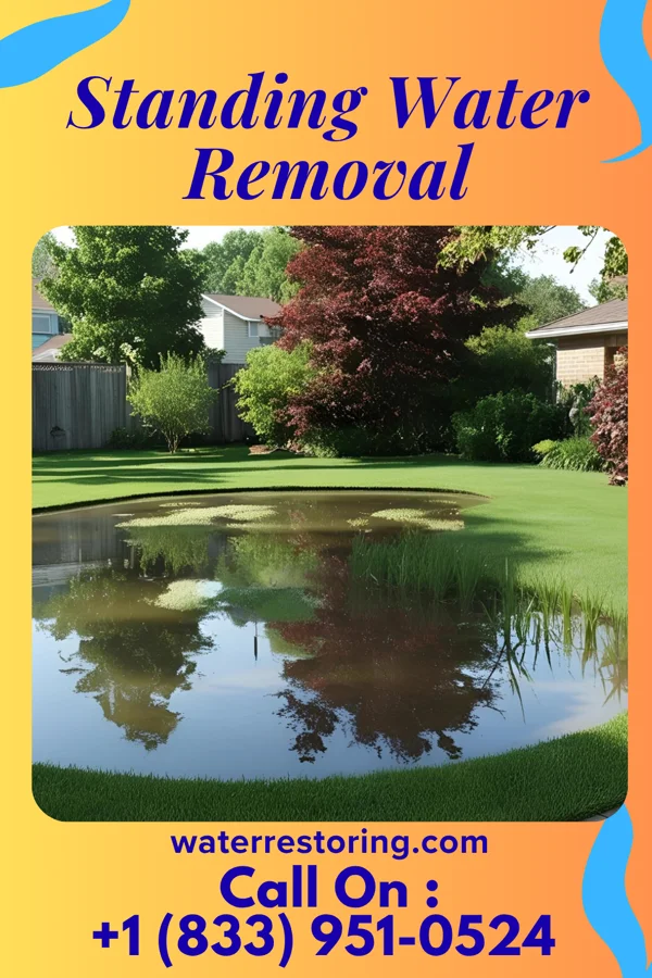 Standing Water Removal in High Bridge, NJ
